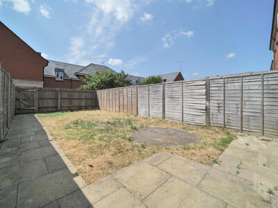 Picture 11